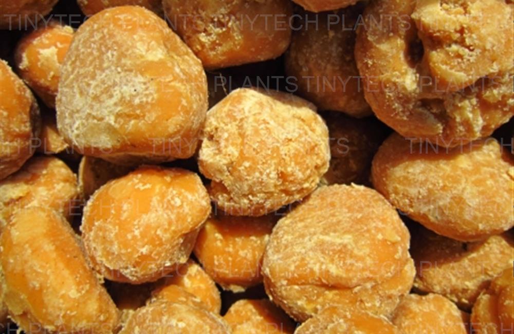 Jaggery Plant, Food Processing Machinery